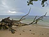 SEYCHELLES - 543 - La Digue, Anse La Reunion